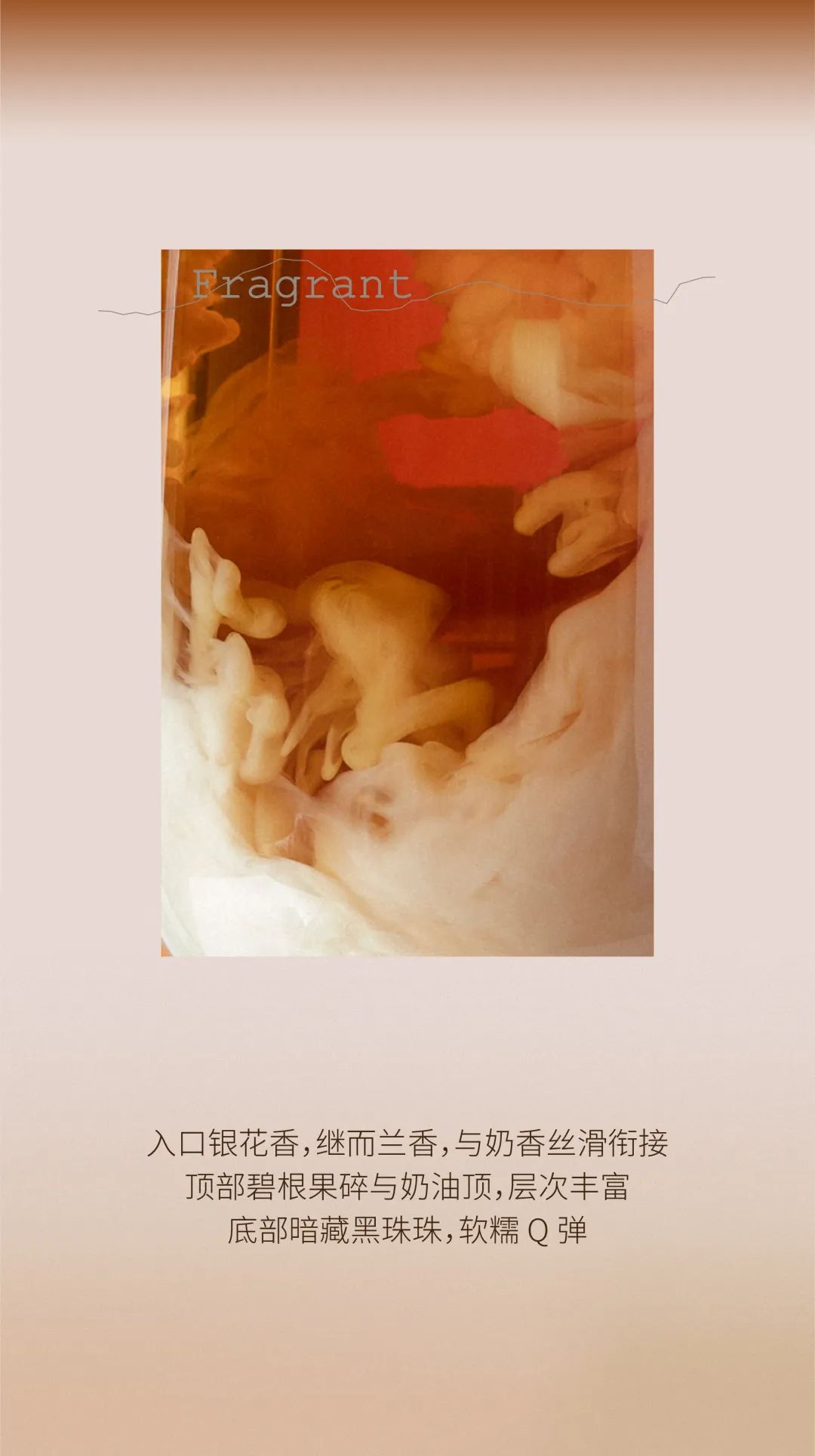 「绝密」4杯热奶茶，9元起喝！-9