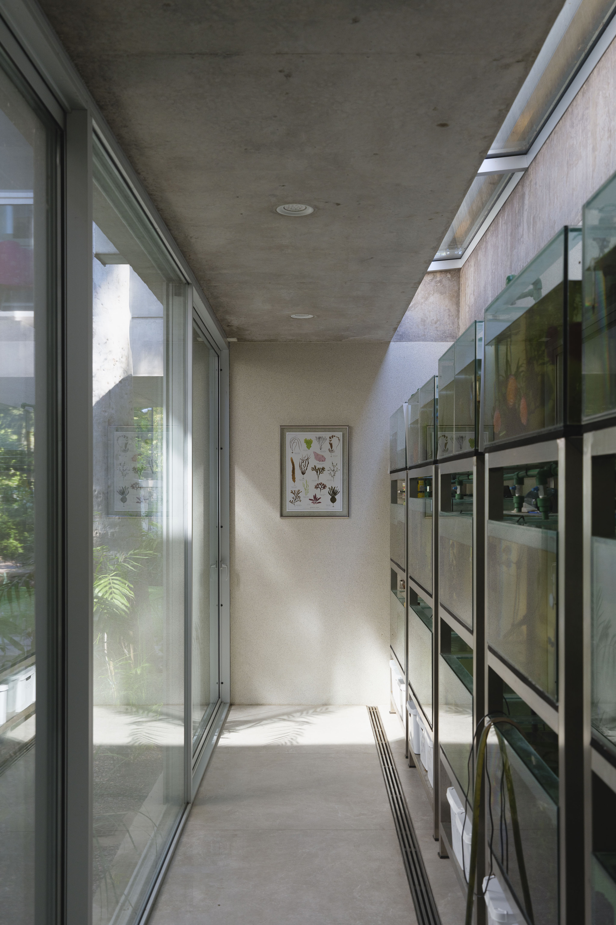 尤加利树屋；桉树屋 （备注：Eucalyptus常见释义为尤加利树、桉树，这里根据House推测可能是与树相关的屋子，若有具体语境，可更精准翻译 ） 丨阿根廷布宜诺斯艾利斯丨Julia Yako,Laura Marino-18