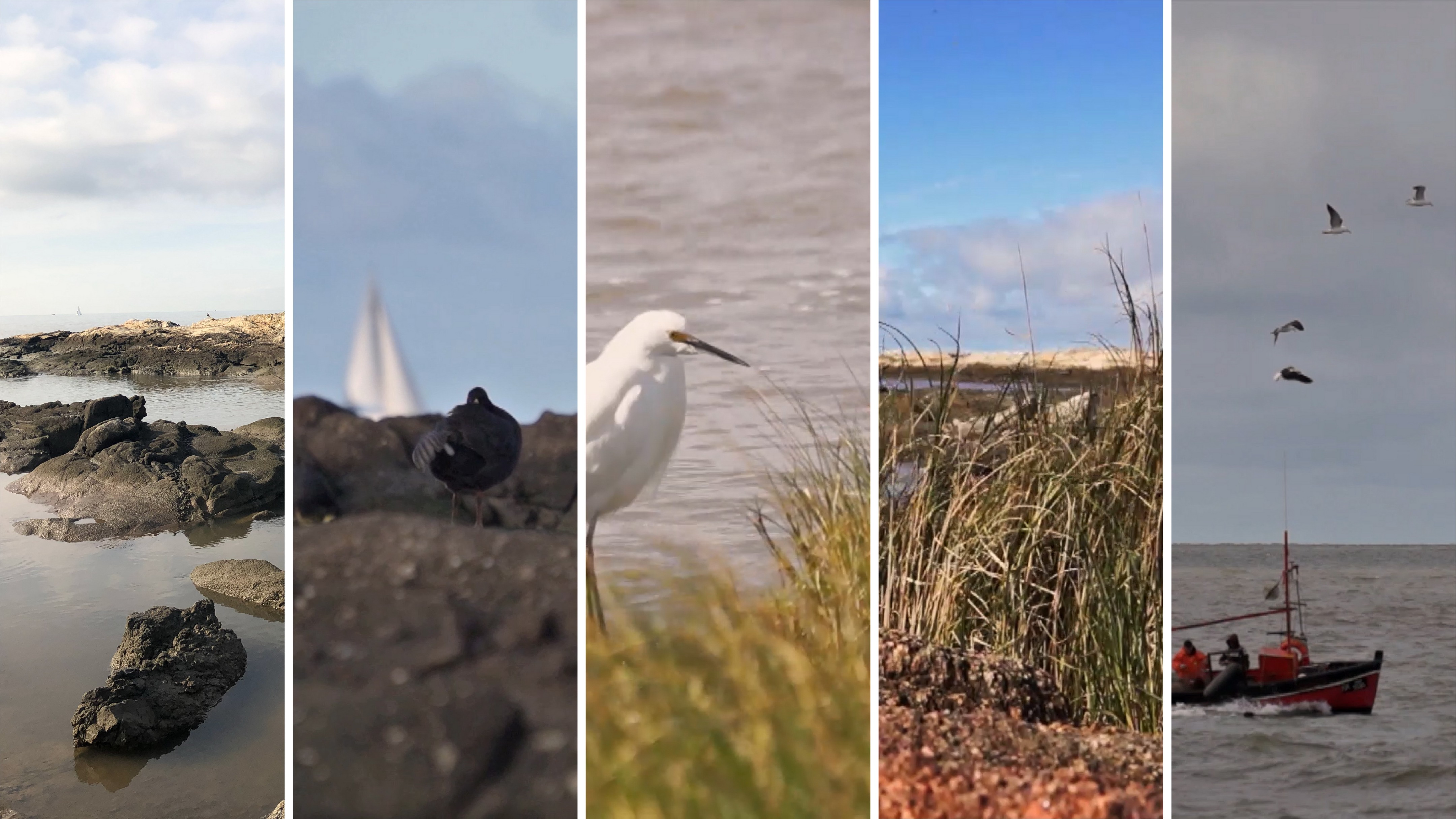 疫情世界纪念-25