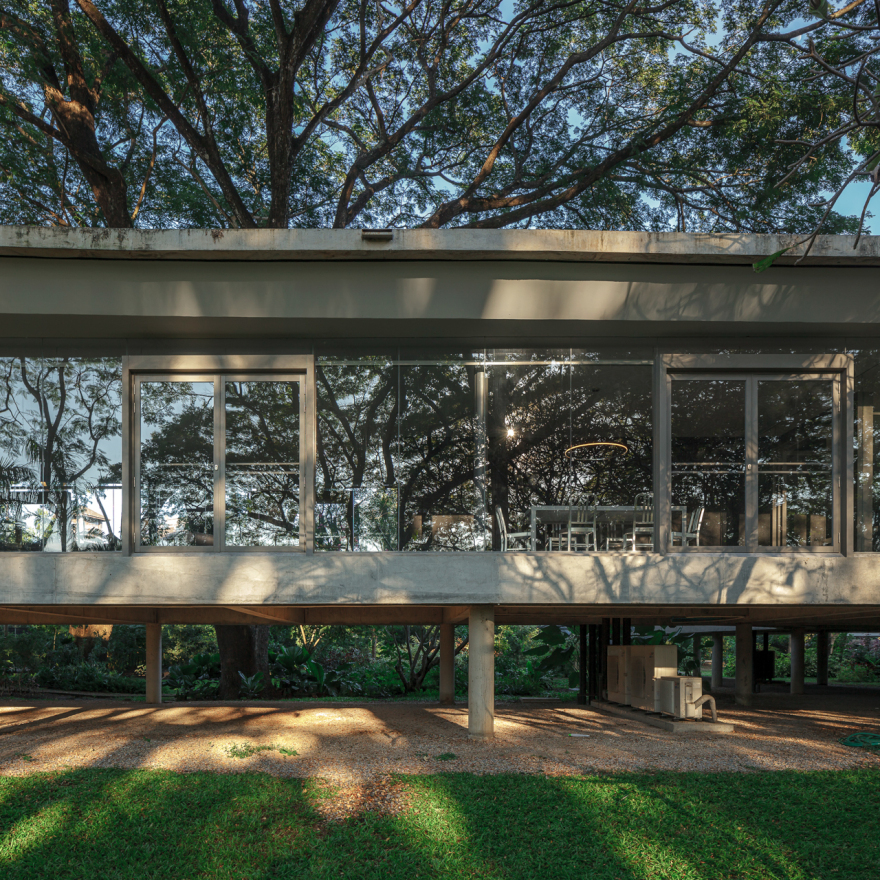 在雨树下丨泰国清迈丨Rachaporn Choochuey等团队成员-18