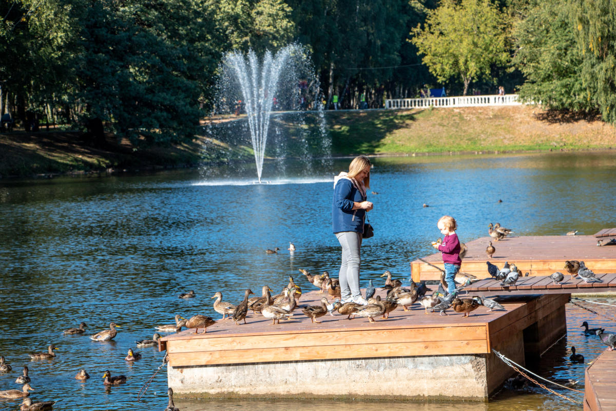 Реализованный проект парка в Подмосковье-2
