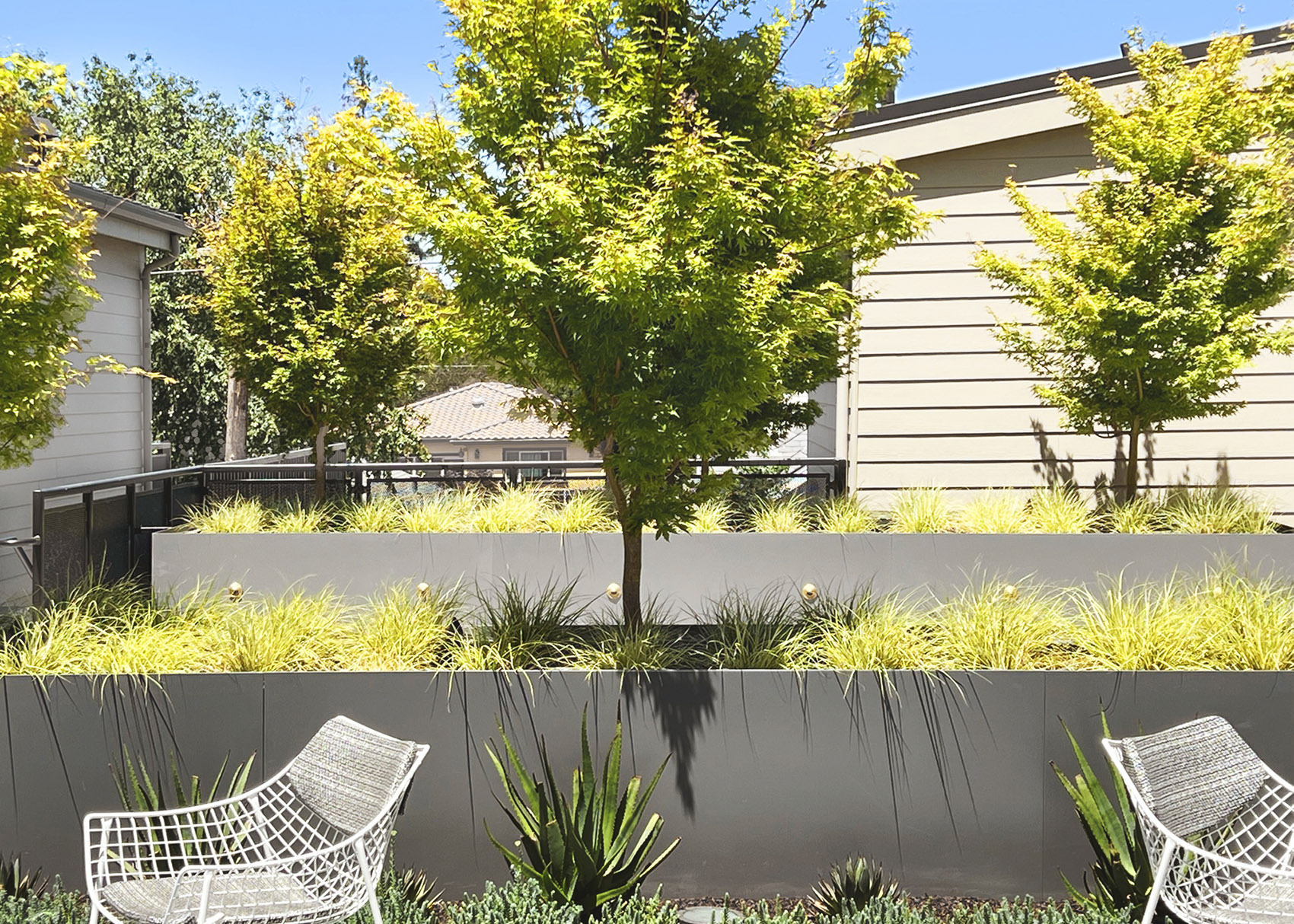 美国 Danny’s 餐厅上空的花园丨美国加利福尼亚丨Spiegel Aihara Workshop (SAW)-14