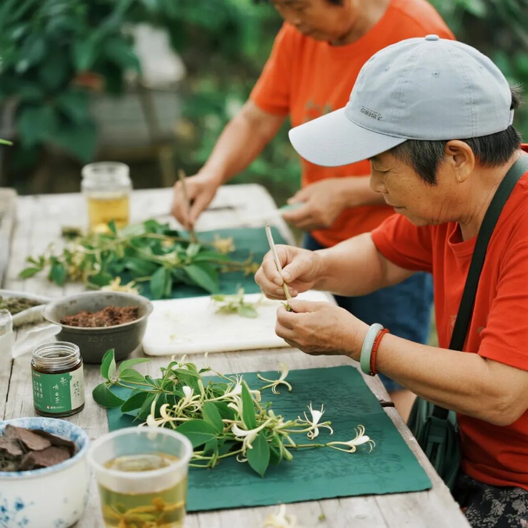 【自然疗愈·亲子研学】华中秘境|打造沉浸式中医药主题亲子营地：种植体验×手作工坊×节气课程全案解析-145