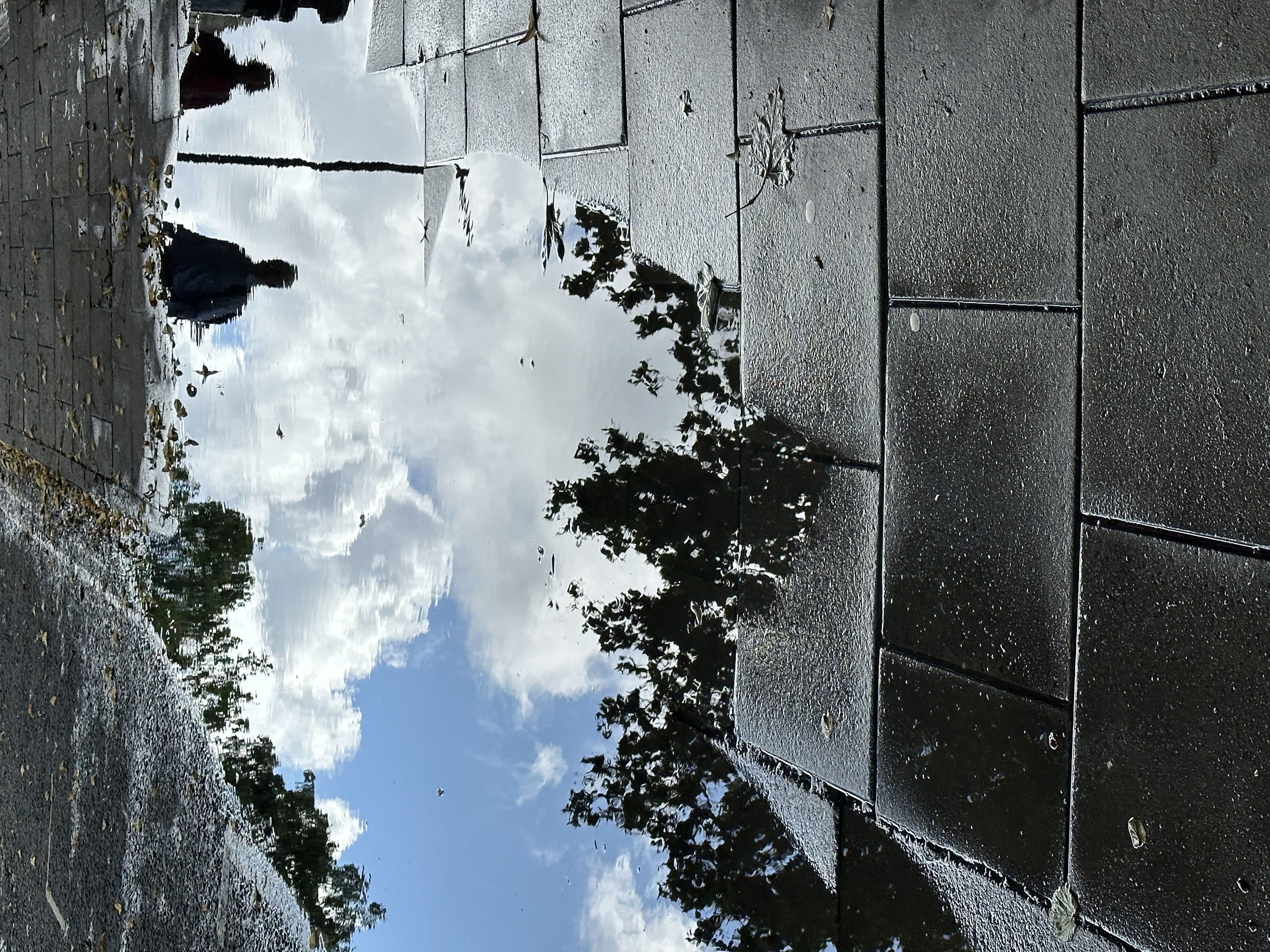 The Beauty of Bristol-21