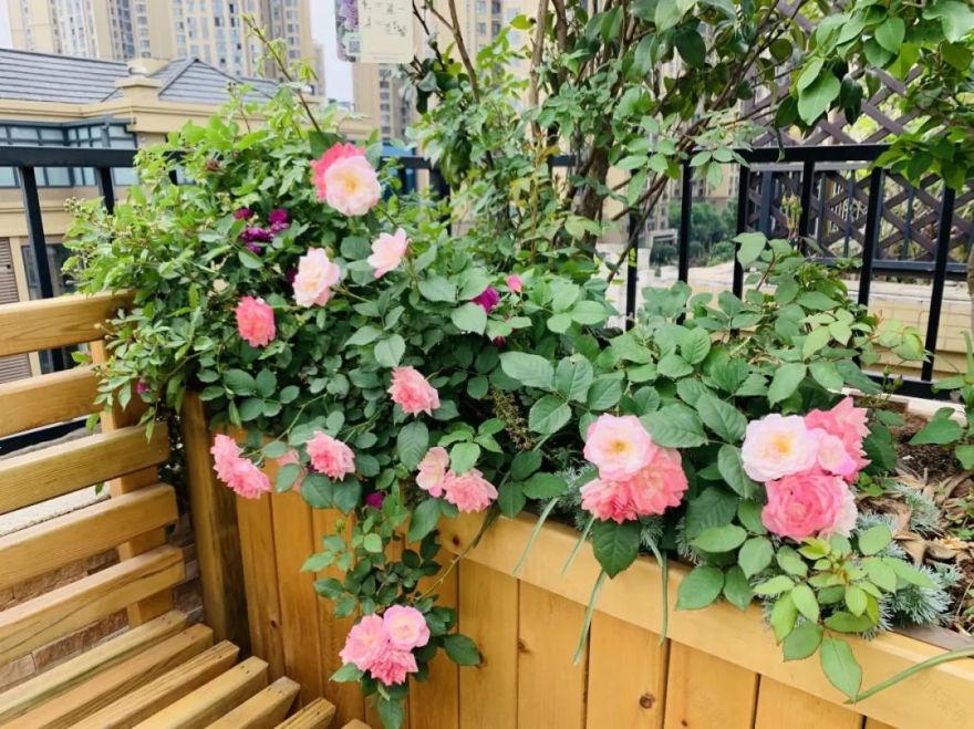 多一点浪漫 | 80、90 后的理想家居设计-70