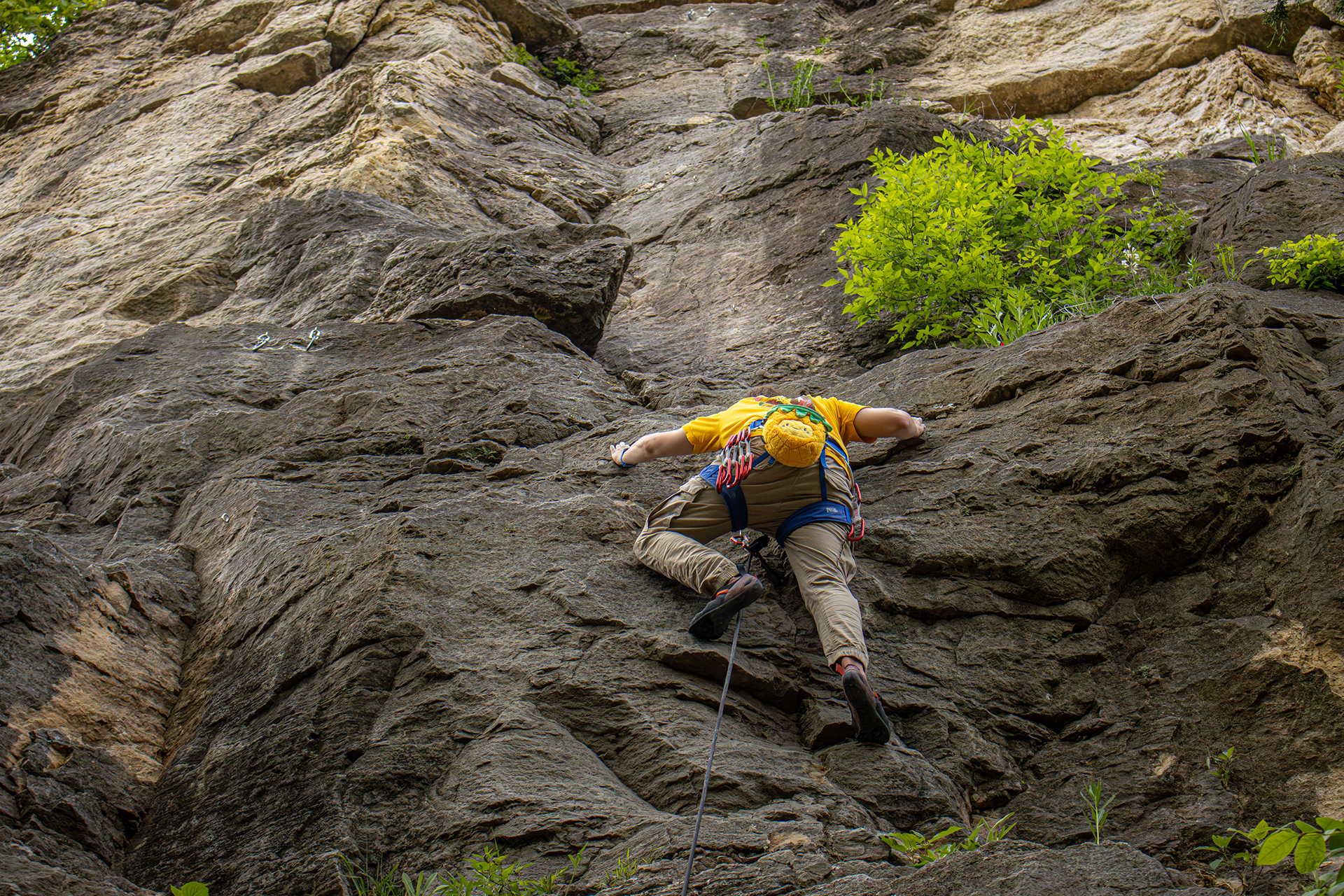 Gravity & Grit: The Art of Climbing Through the Lens-12