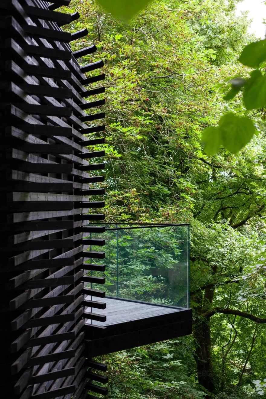 The Montenotte酒店林地套房丨爱尔兰科克丨Henry J Lyons建筑事务所,罗伊辛・拉弗蒂-14