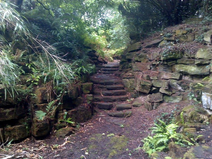 Court Lodge园林景观项目丨James Pulham and Son-36