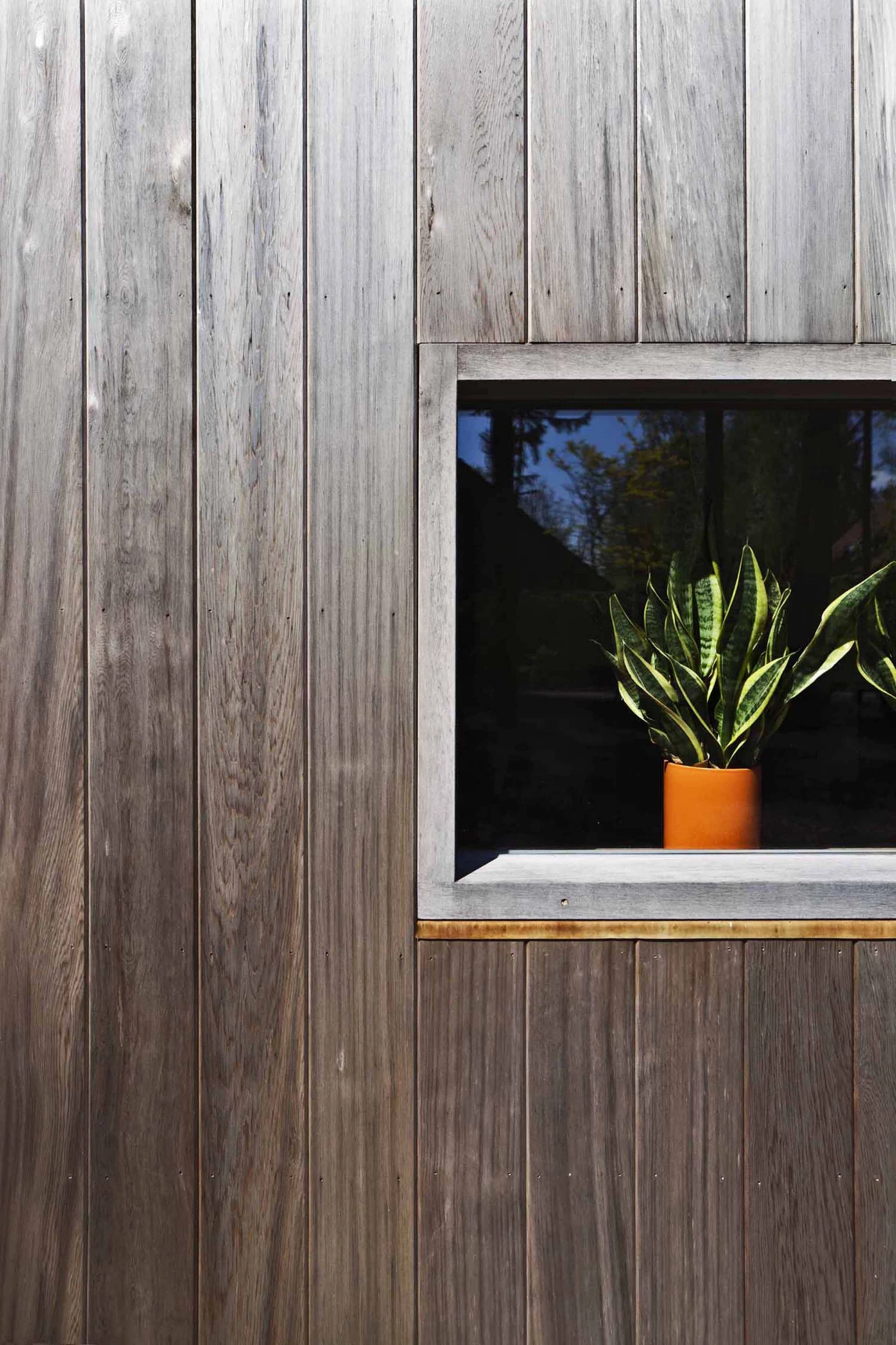 比利时森林中的木质游艇住宅-11