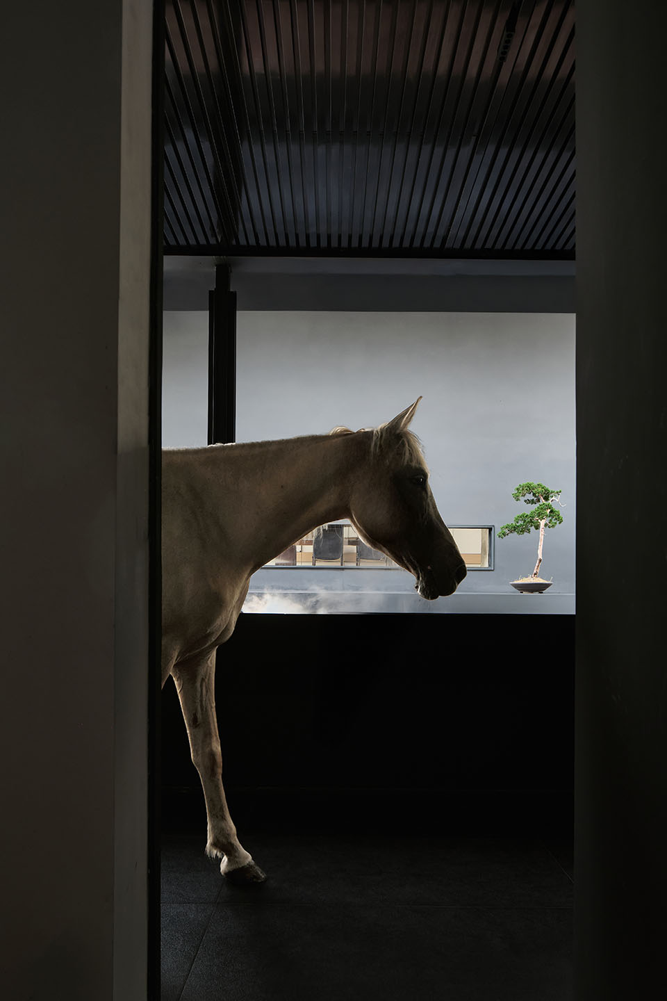 山脩 · 美术馆丨中国南京丨禾本设计事务所-83