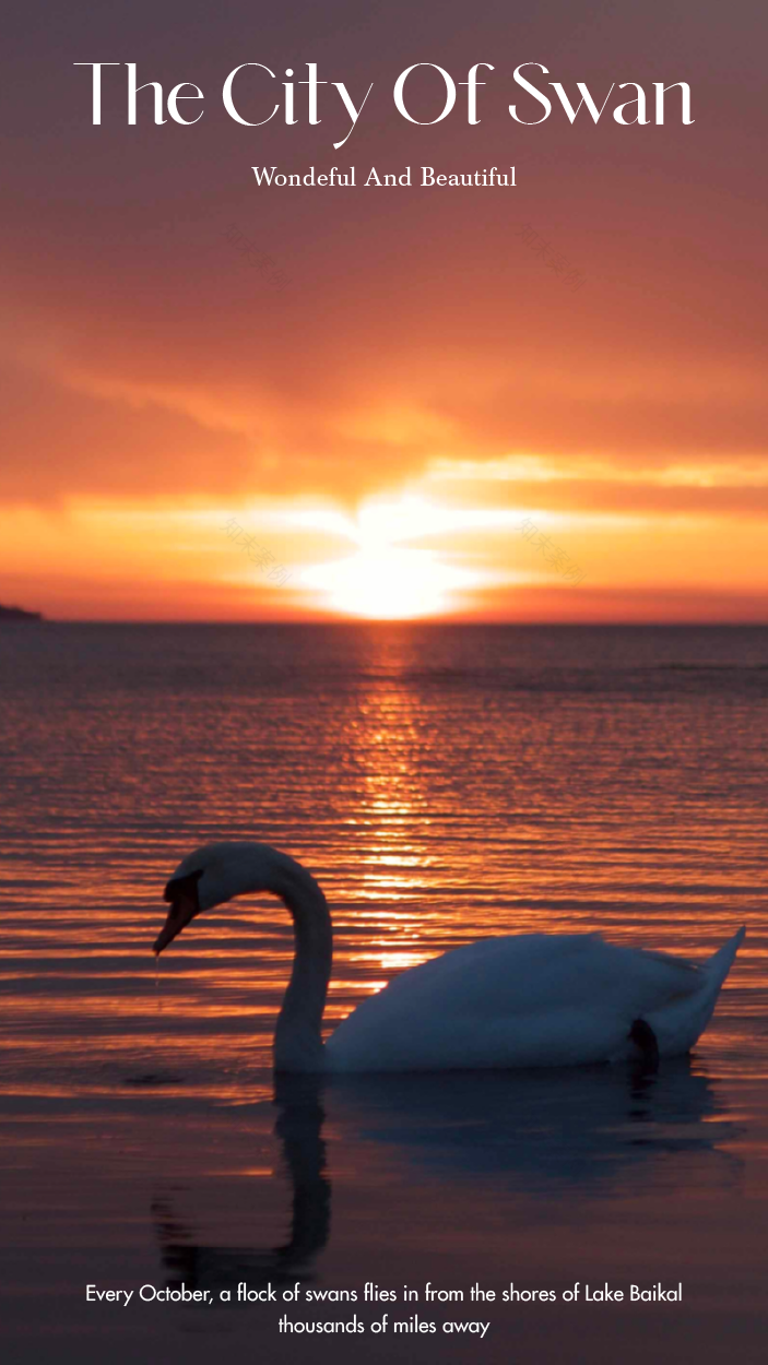 荣成自在澜湾销售中心丨中国山东丨元禾大千(软装),天翊设计(硬装)-14