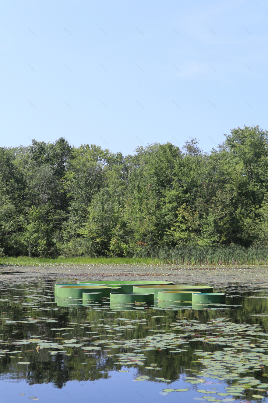 百合项目丨美国丨Jaemee Studio-31