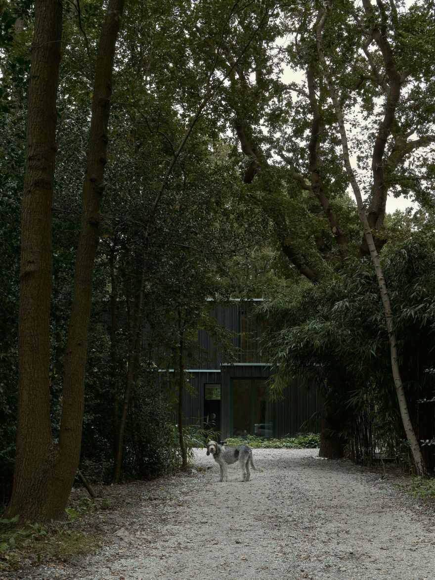 福雷斯特豪斯奥斯特沃恩丨荷兰丨Kumiki-37