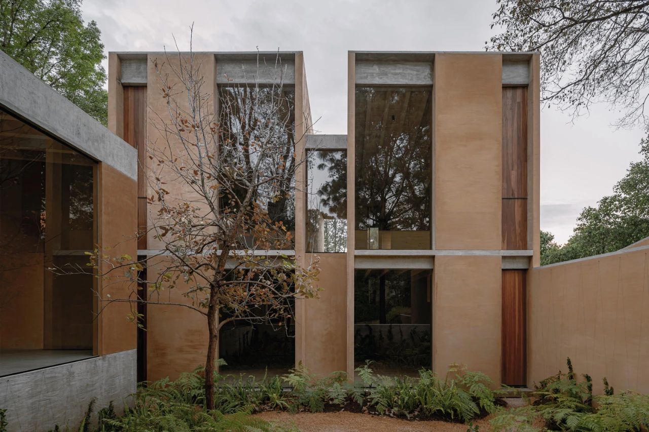 蕨类植物丨墨西哥丨Taller Hector Barroso-11