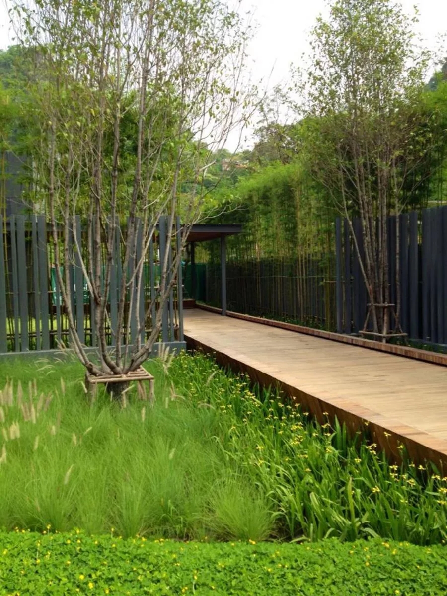 考艾23°庄园景观设计-33