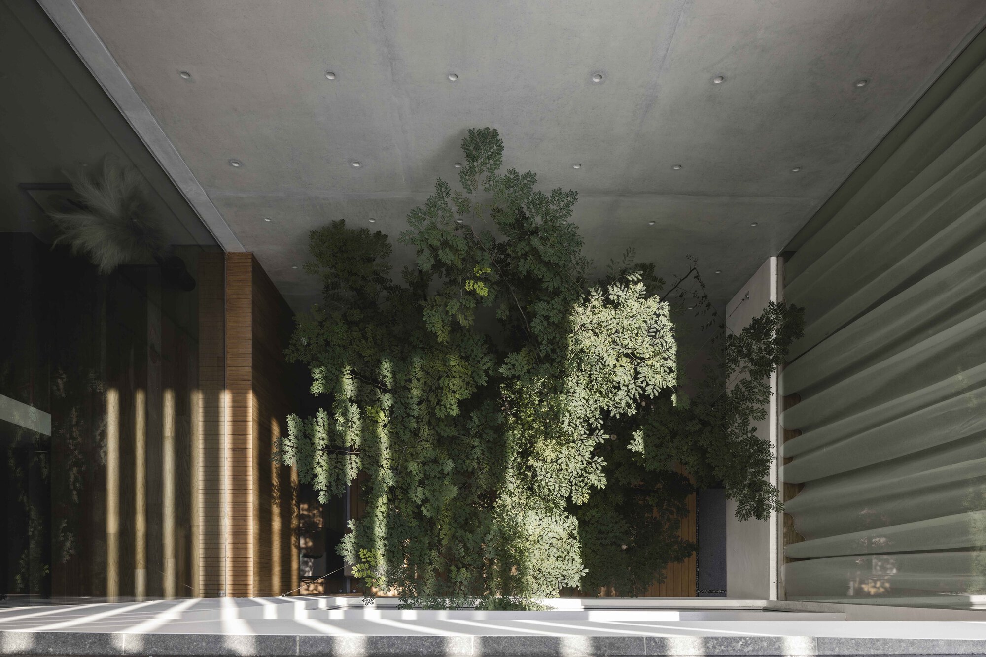 框架房屋丨新加坡丨Ming Architects-28