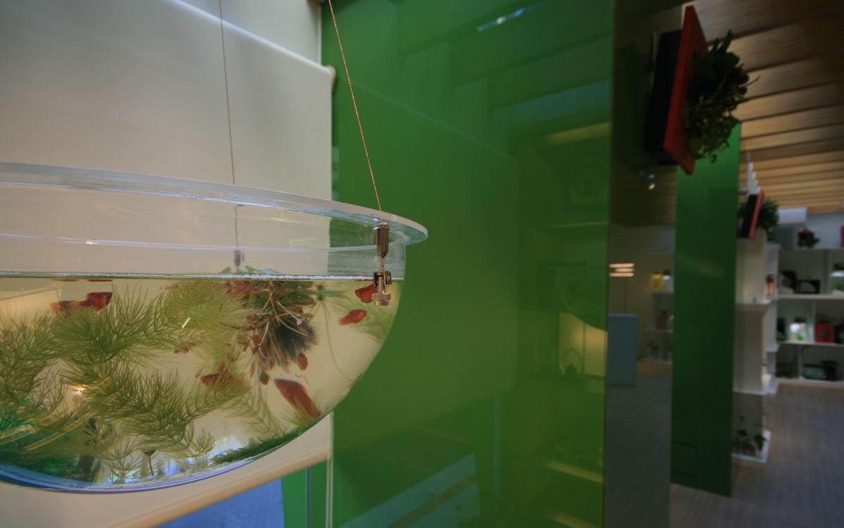 原木绿设计温室的商空新概念-12