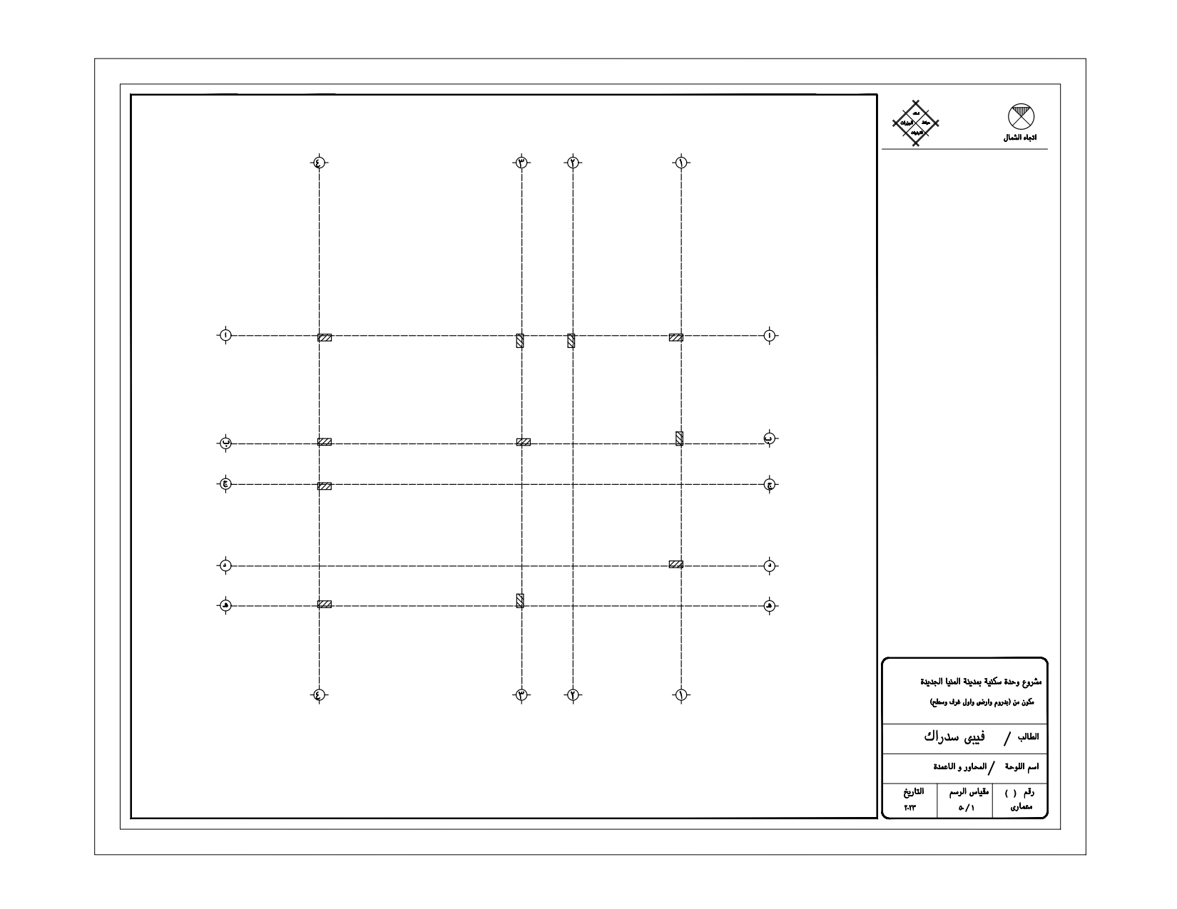 Executive project for a villa-1
