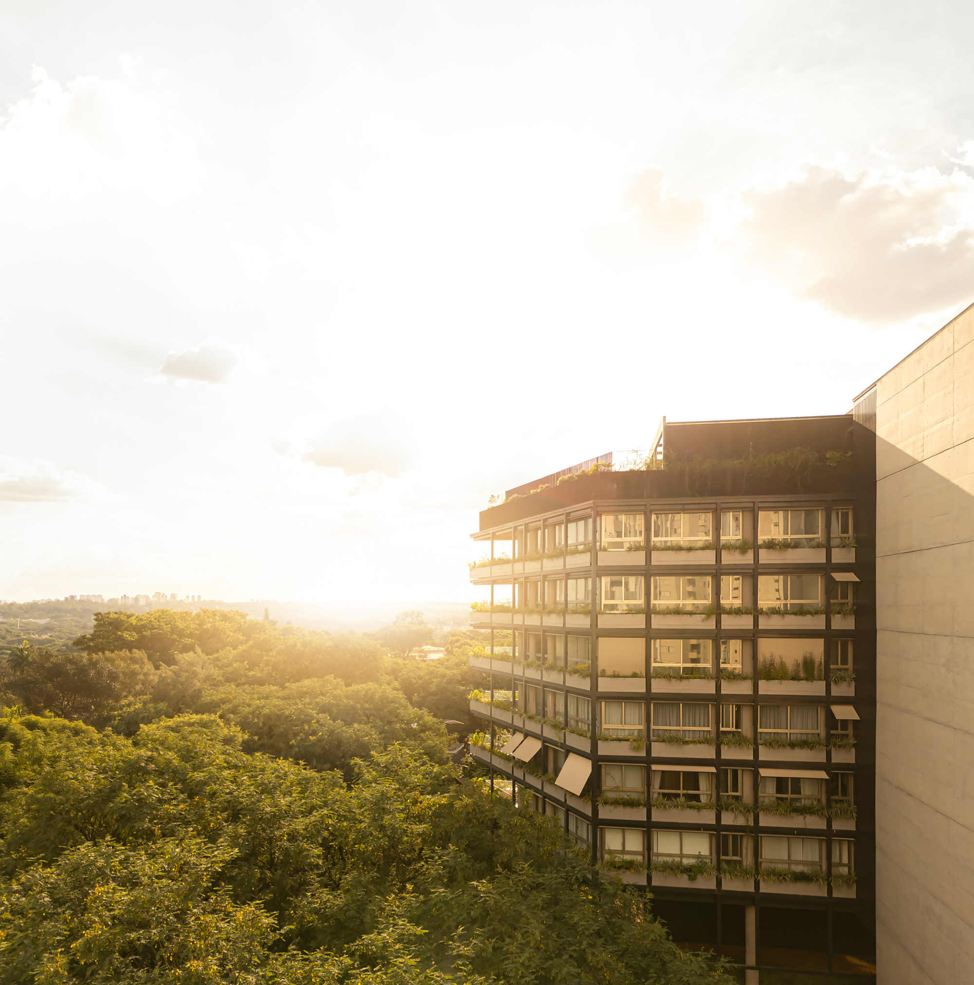 帕斯科阿尔·维塔大厦丨巴西圣保罗丨Bernardes Arquitetura-11