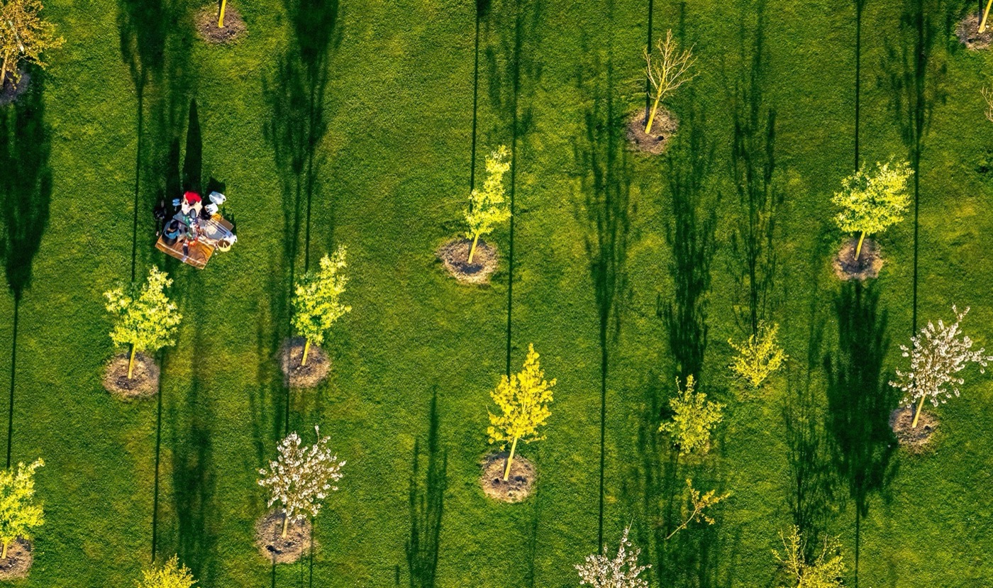 德国哈姆市 LippePark 景观设计-7