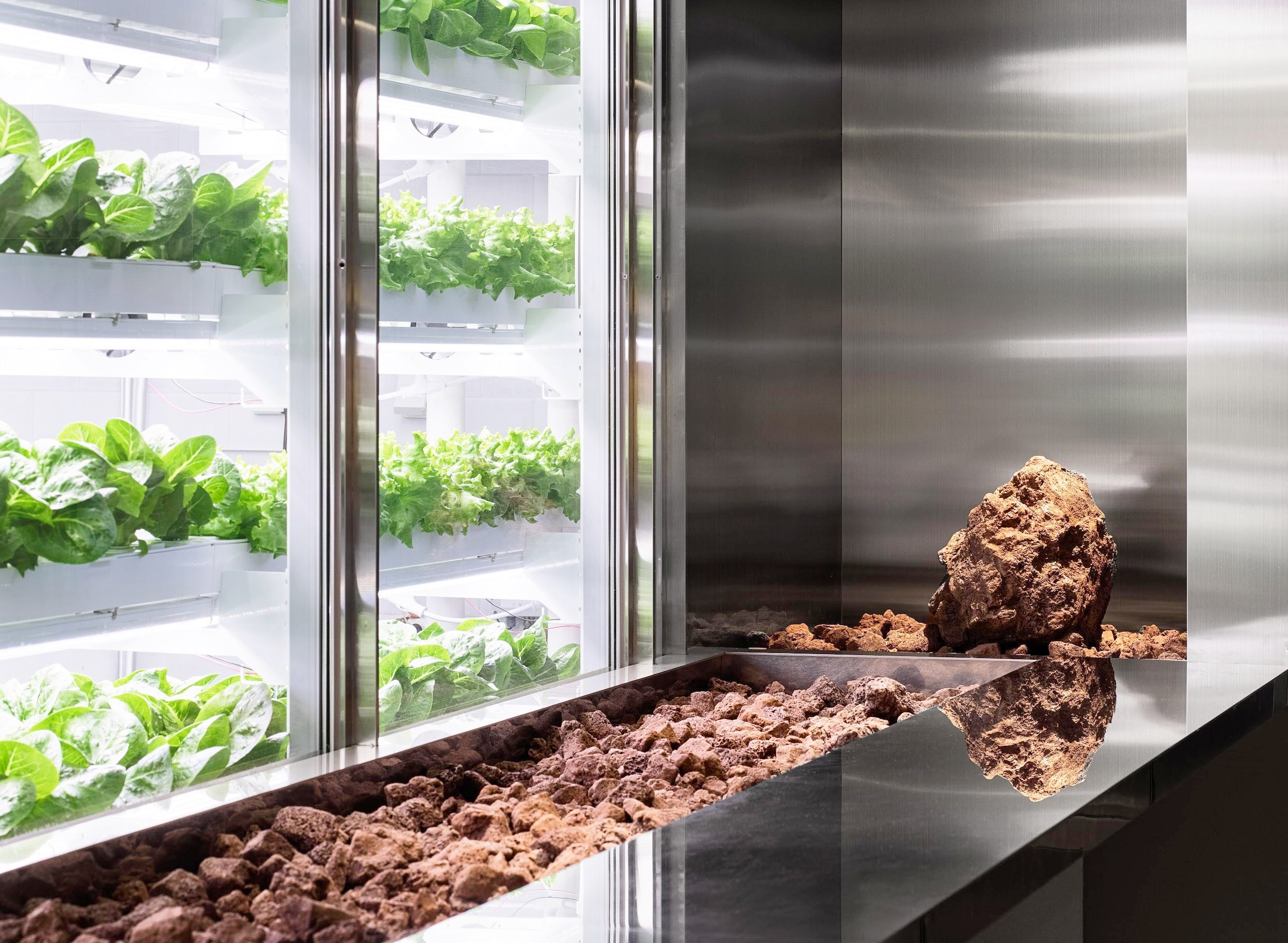 首尔“未来农场”展示空间 | 探寻现代食品生产透明化之路-4