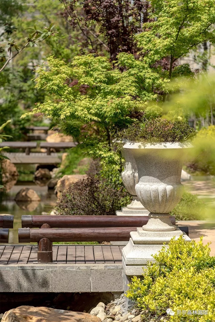 合肥新华•御湖庄园-85