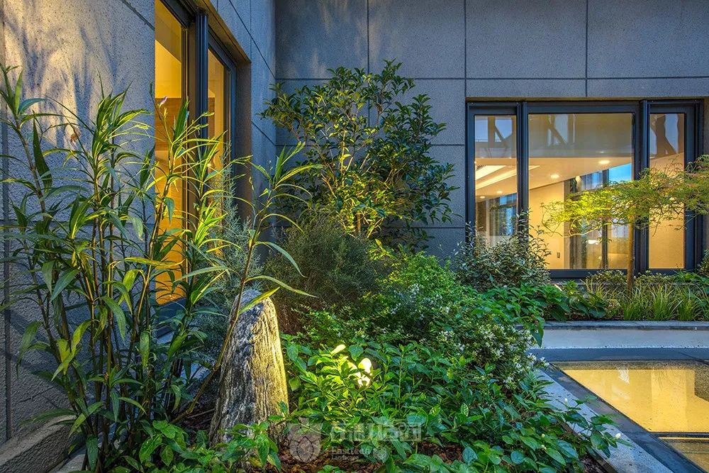 花园植物搭配的艺术与功能-25