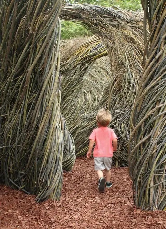 森林幻想家 | Patrick Dougherty 的树枝艺术-13