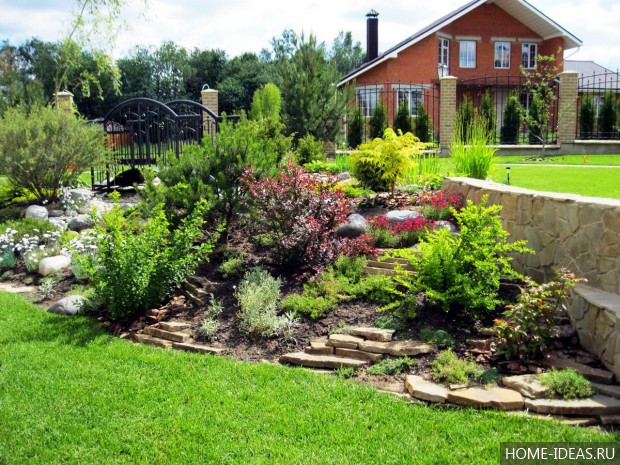 自制阿尔卑斯式假山（阿尔卑斯式花坛）-26