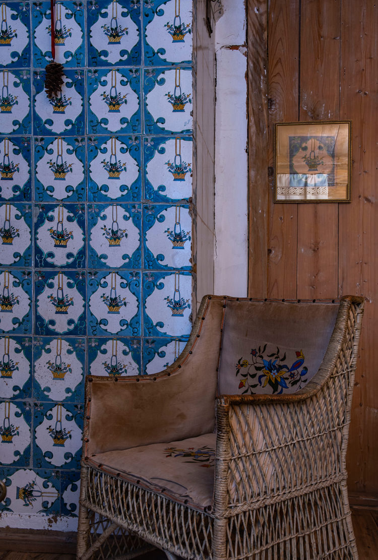 “Доме Ракицкого”(拉基茨基之家)项目丨俄罗斯丨Женя Жданова(珍娅·日丹诺娃),景观工作室МОХ-37