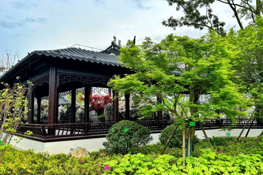 当莫比乌斯环遇见江南园林！上海建工匠心打造临港顶科社区科学公园-34