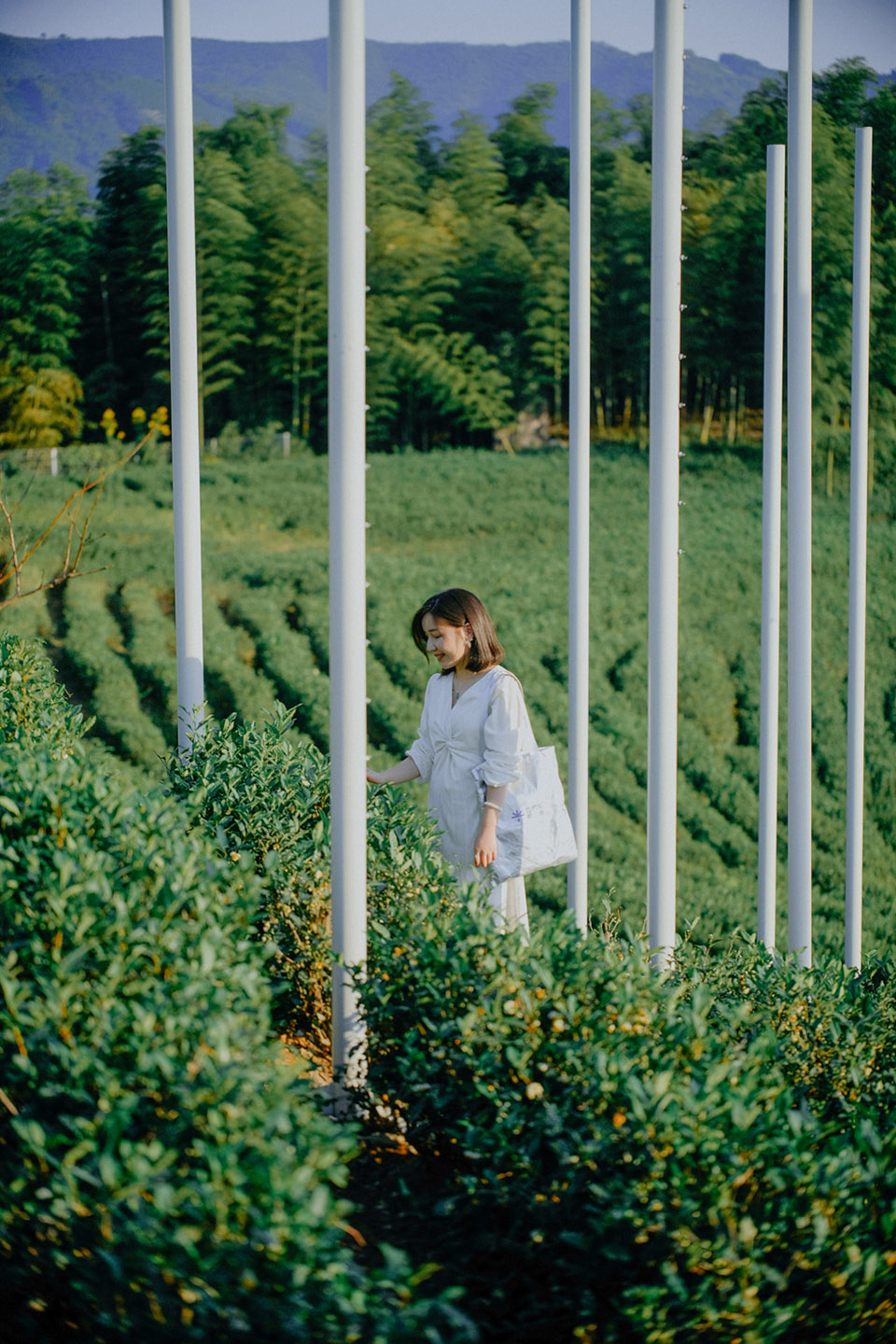 湖州望山茶亭丨中国湖州丨PLAT ASIA-37