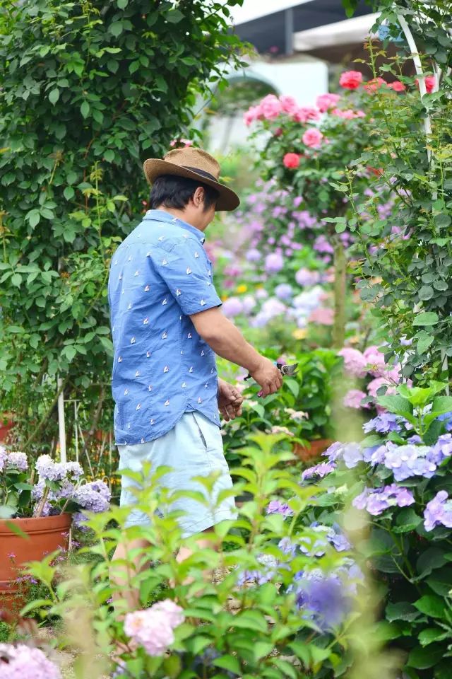 他建了座2亩的鲜花小院，满足你对花园的所有幻想-26