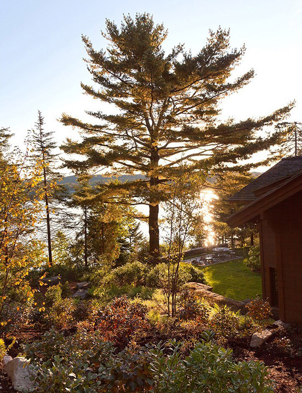 阿卡迪亚再生 | 山漠岛 Le Petit 木屋住宅景观修复-89