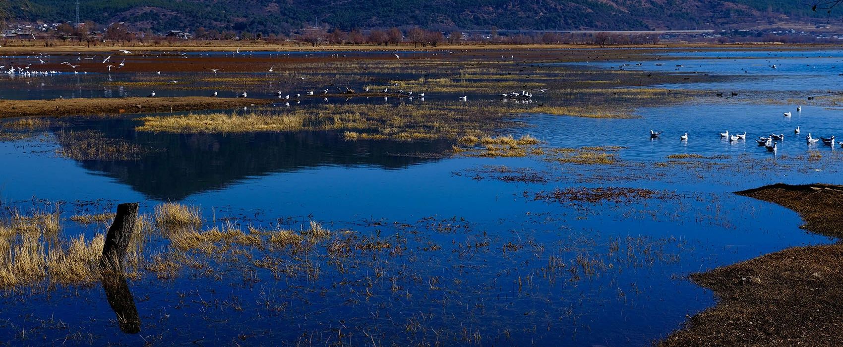 茶马道拉市海丽世山居丨中国丽江丨尤磊工作室-10