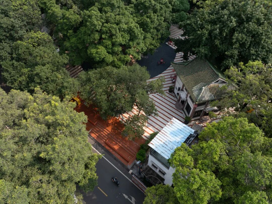 饮一杯广州味道——T.I.T原创荟改造（原广东饮料厂）-26