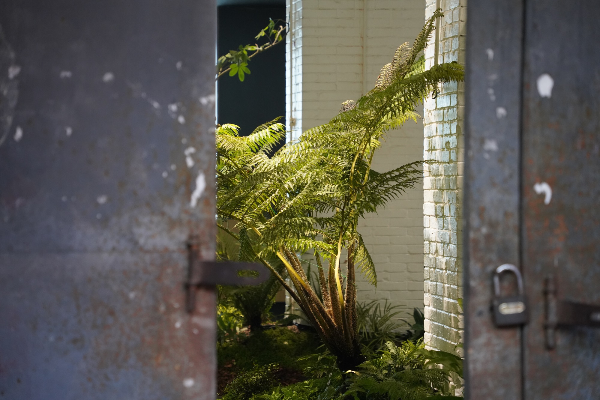 WE HOUSE 物候自然展厅丨我们在办公室造了一个植物园 / 物候设计-48