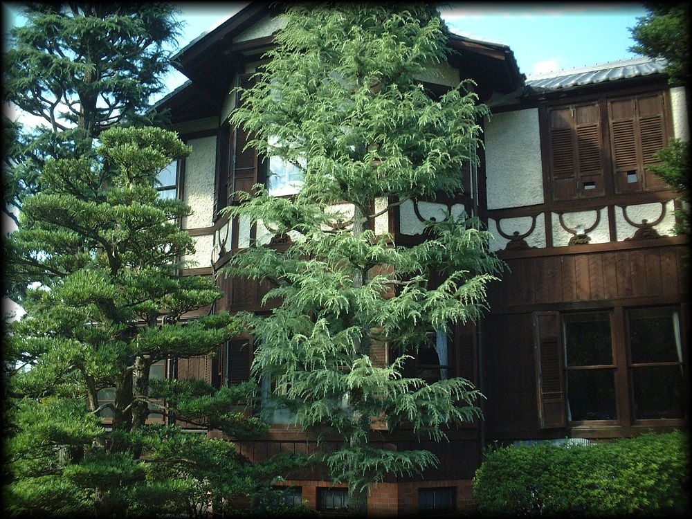 何有荘（原“和楽庵”）丨日本京都丨庭园  七代目小川治兵衛,洋馆  武田五一-37