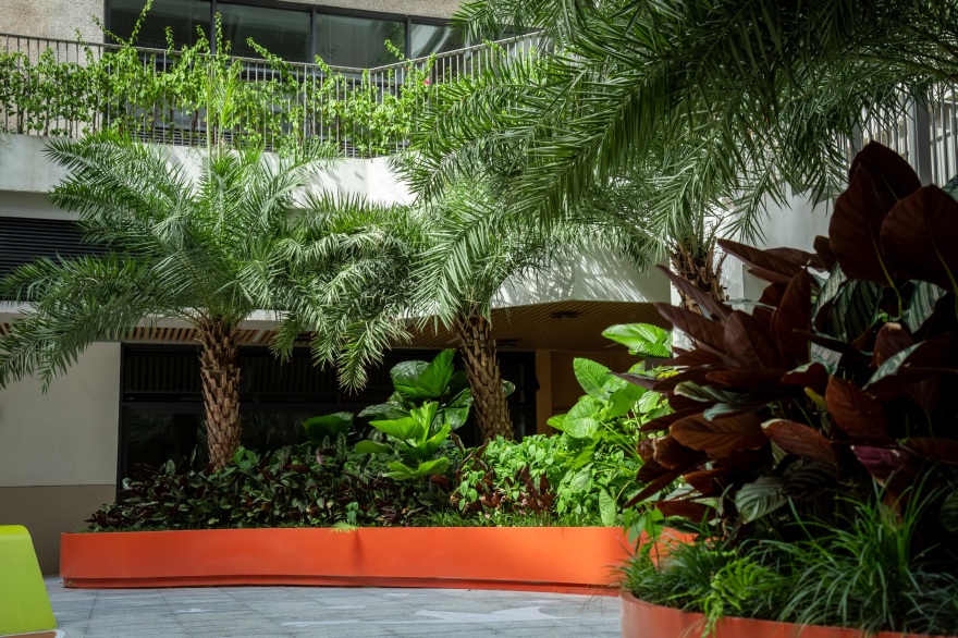 深圳市宝安中学(集团)海天学校丨中国深圳丨HILL 希尔景观-74