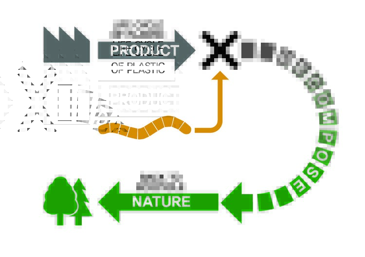 韩国 EPS 展馆丨Yong Ju Lee Architecture-6