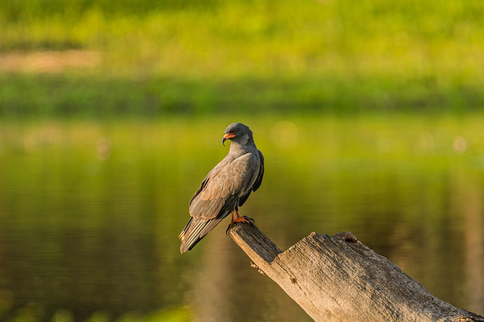 Casa Daia度假屋丨巴西塞阿拉丨UNA barbara e valentim-79