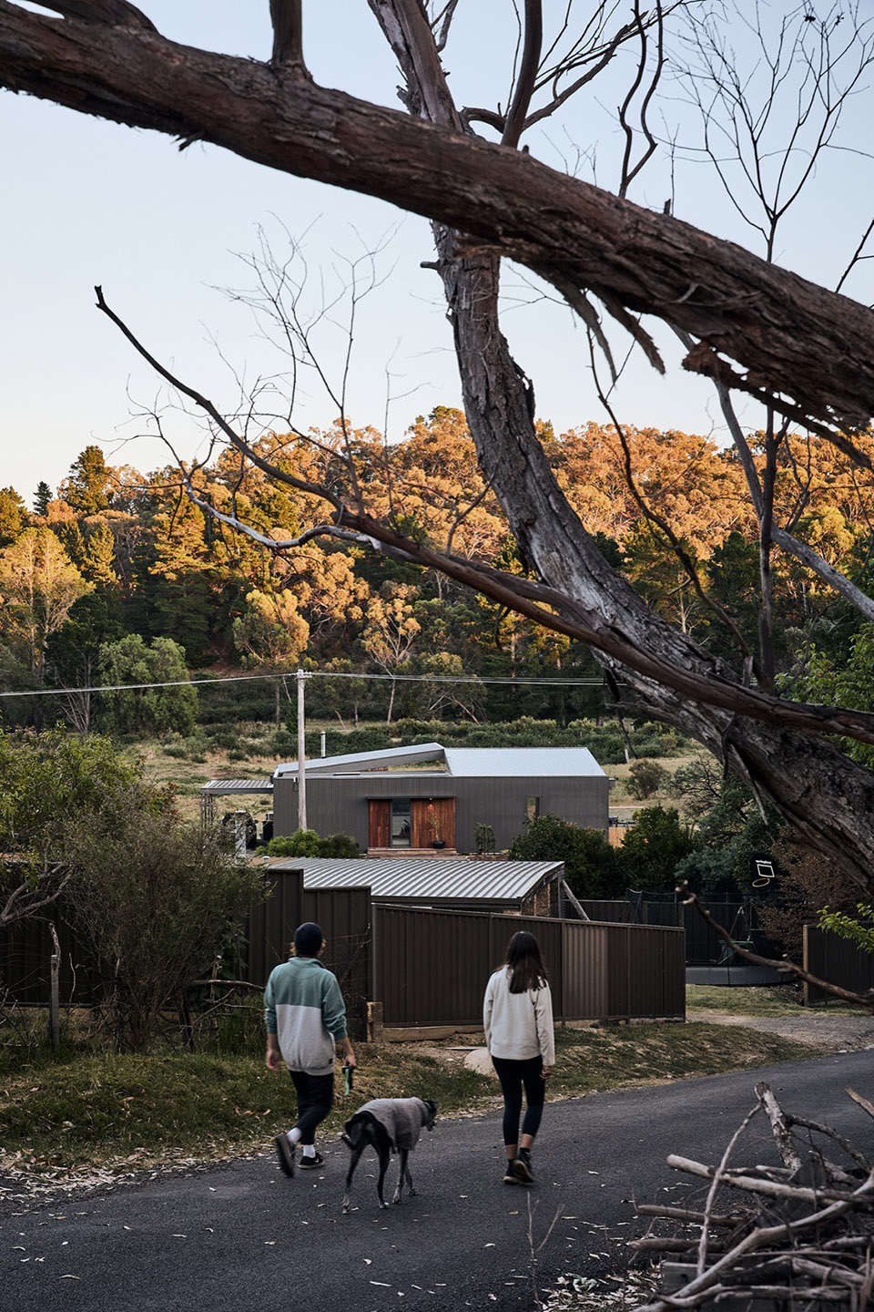 Pyrenees 住宅丨澳大利亚丨David Noordhoff-7