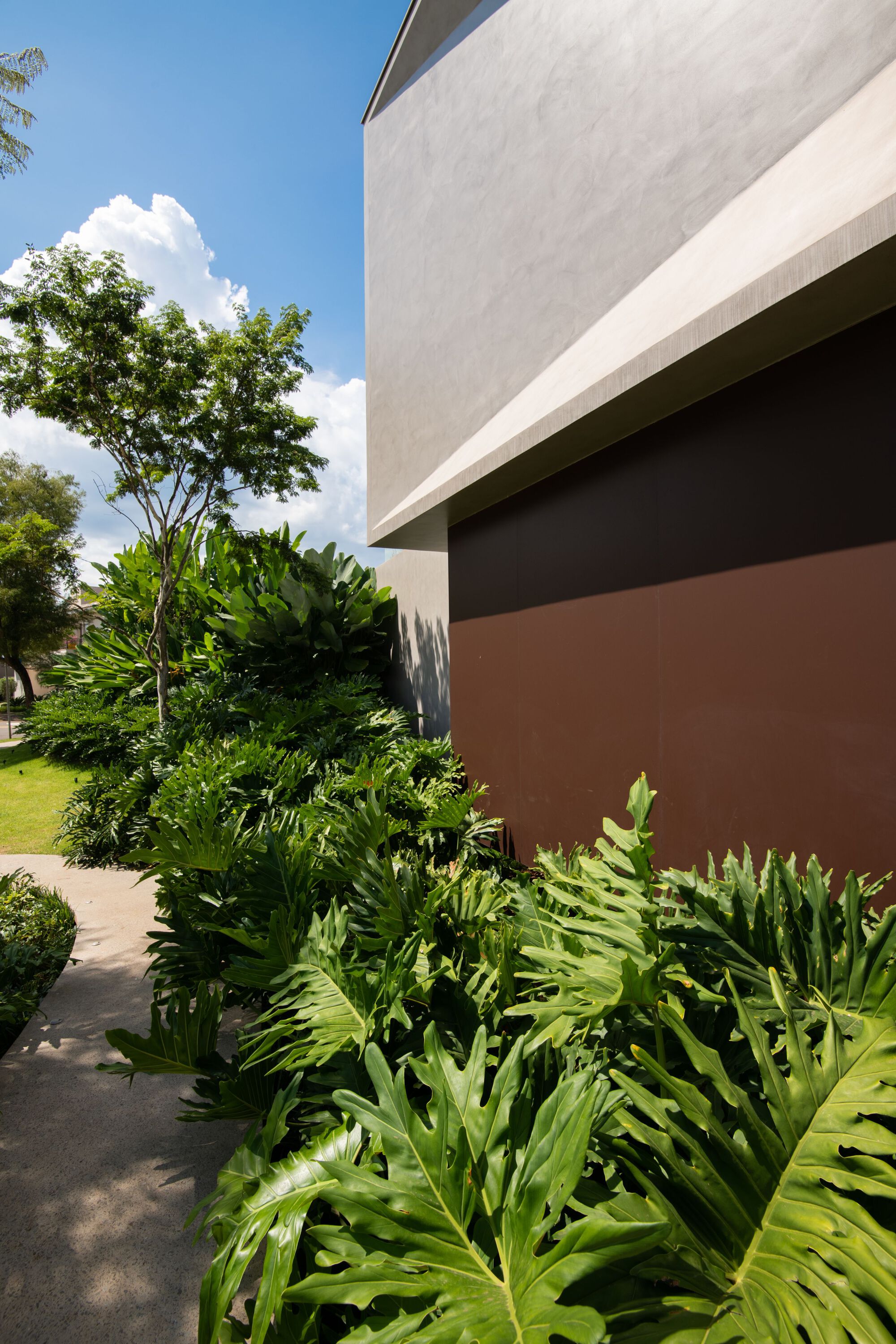 众议院 H·L丨巴西丨Celso Laetano Arquitetura-10