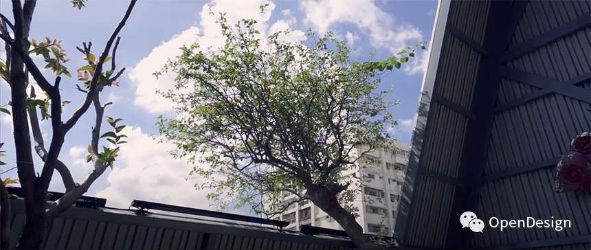 城市景观改造者张温莉 | 以设计赋予空间新生命-34