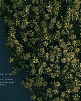 郑杰友打造浪漫宜居空间 | 多功能餐厅与自然灵感设计