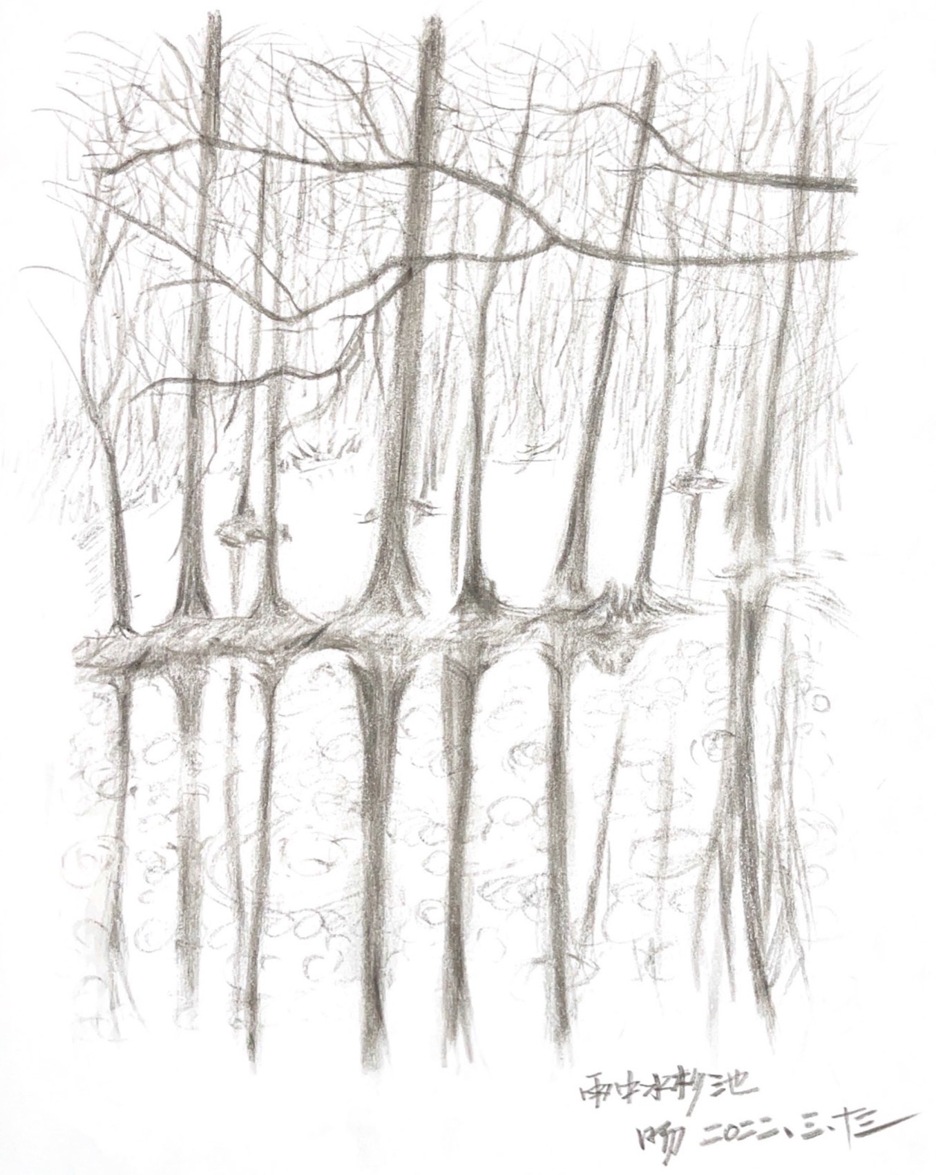 桐乡濮院红旗漾杉林部落共享餐厅 / 上海严旸建筑设计工作室-8