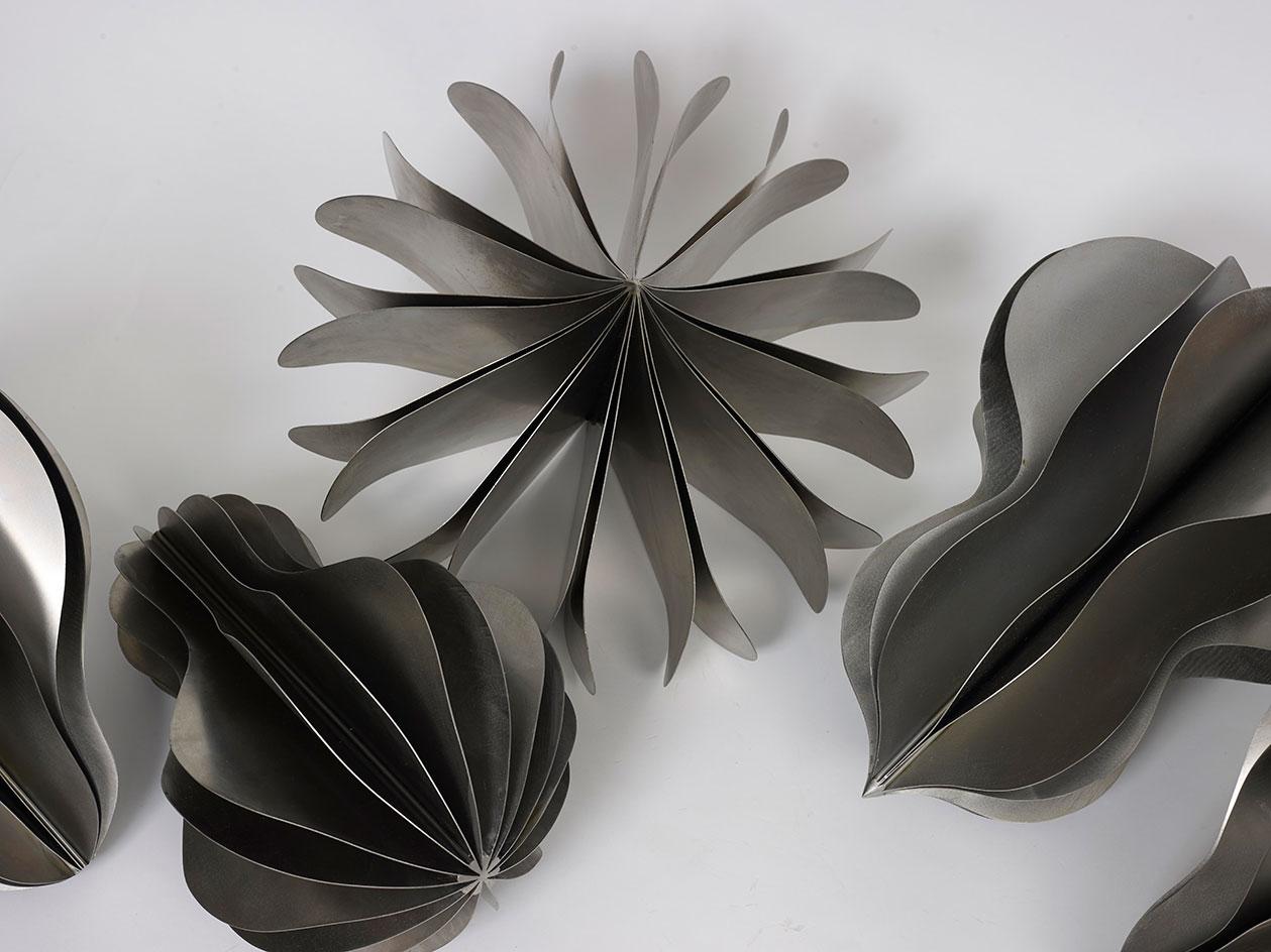 平衡世界中的生命奥秘·卡利奥皮·莱莫斯个展-17