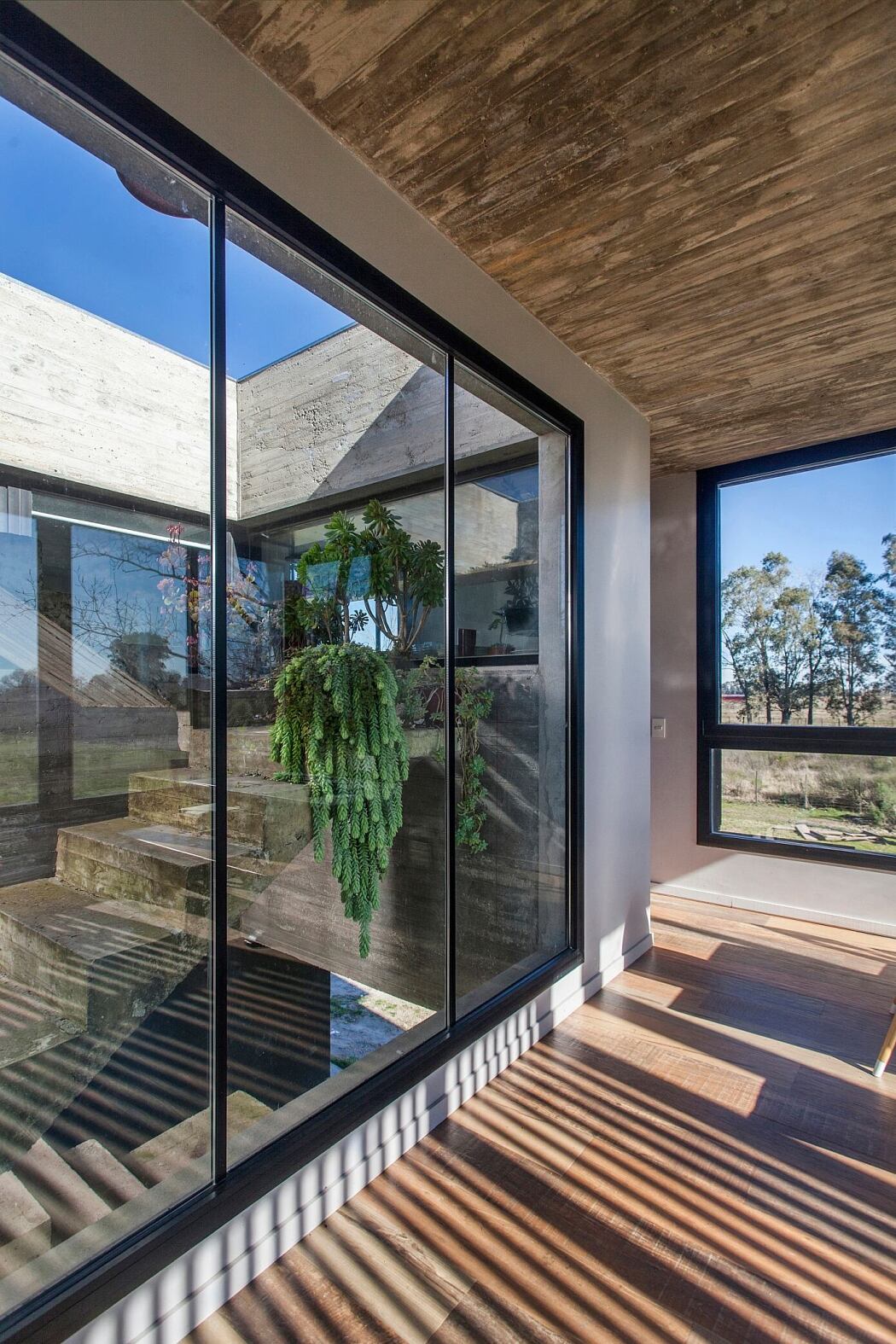 阿根廷混凝土住宅-4