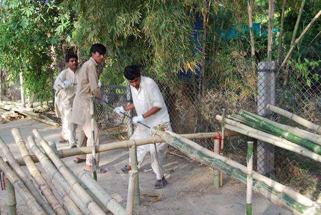 Tipu Sultan Merkez学校丨巴基斯坦-19