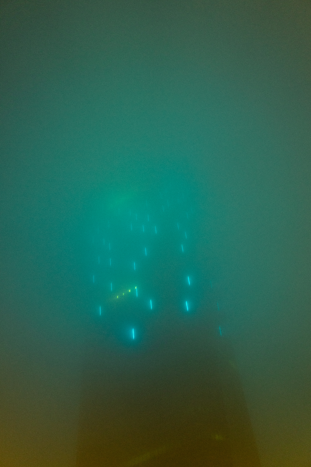 未来巨擘丨Alex Fernández-8